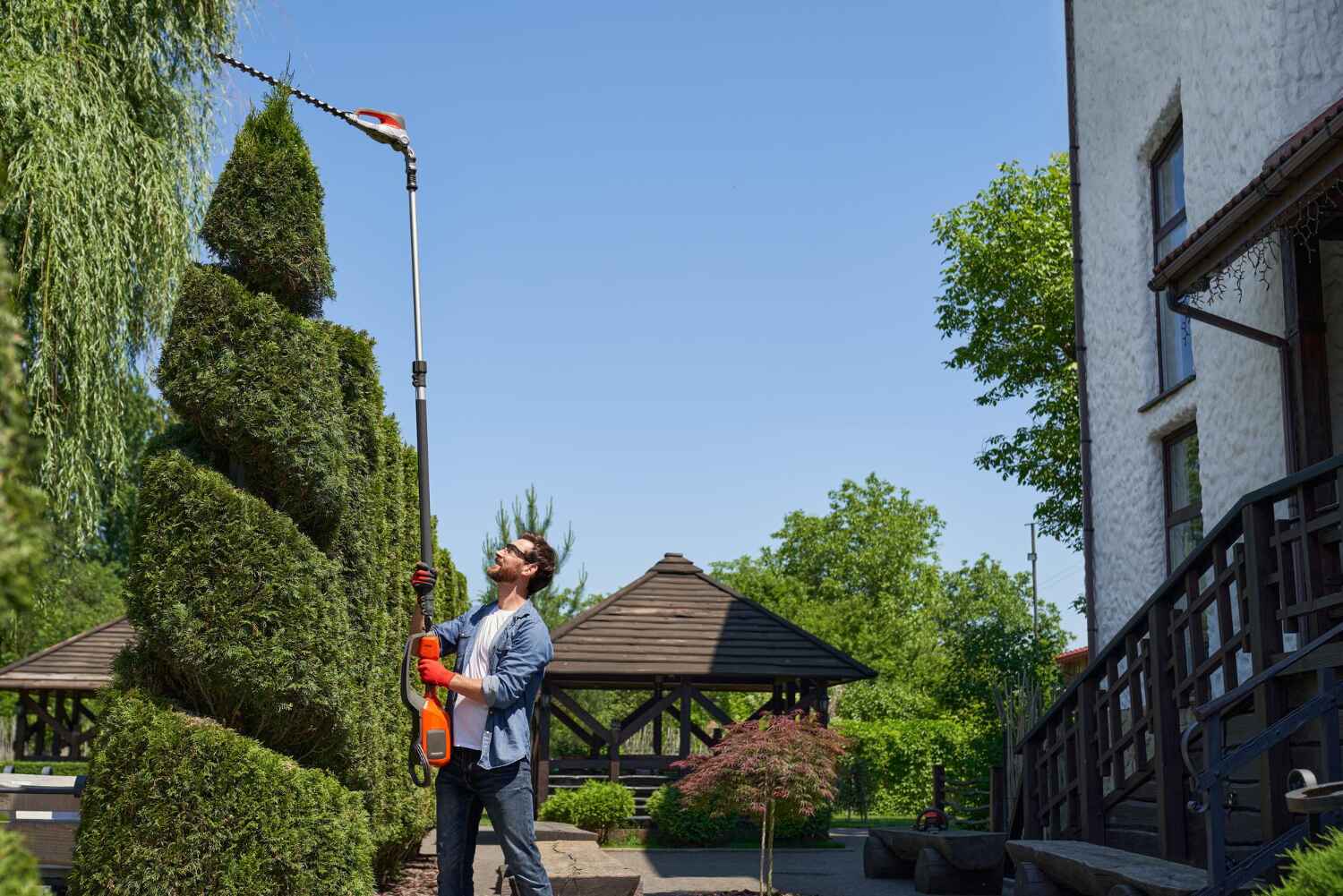 Best Commercial Tree Services  in USA